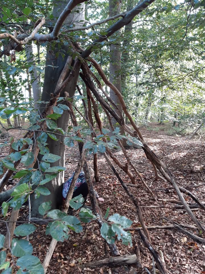 Facebook bericht afbeelding