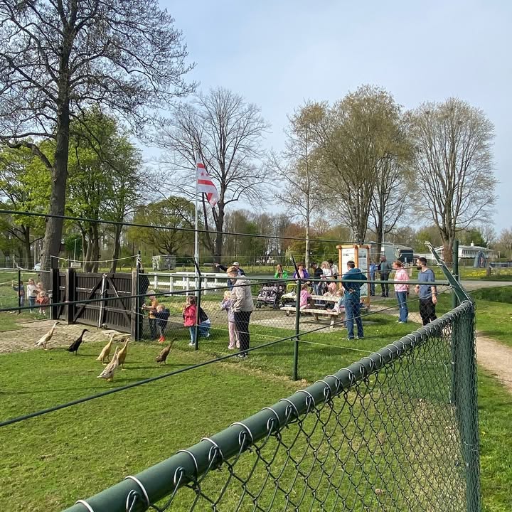 Facebook bericht afbeelding